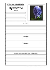 Pflanzensteckbrief-Hyazinthe.pdf